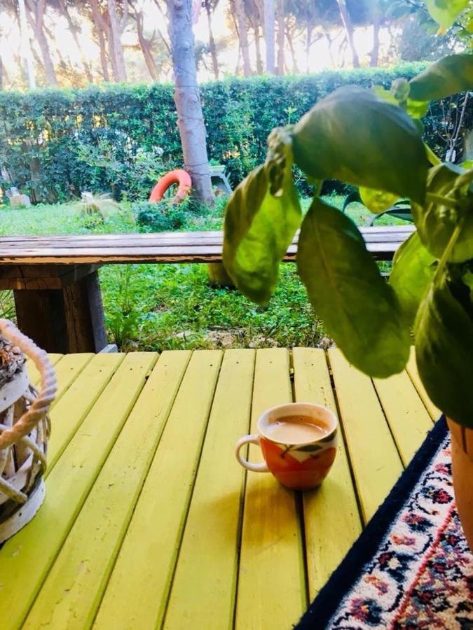 La Casa Di Nataly Bed & Breakfast Fregenae Bagian luar foto